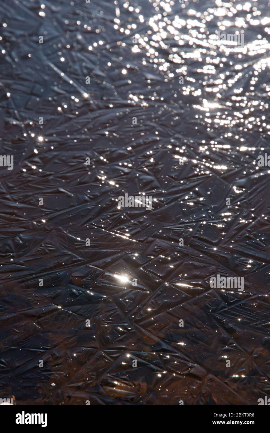 Abstrakte Eismuster auf einem kleinen gefrorenen Teich, glitzernd in der Morgensonne Stockfoto