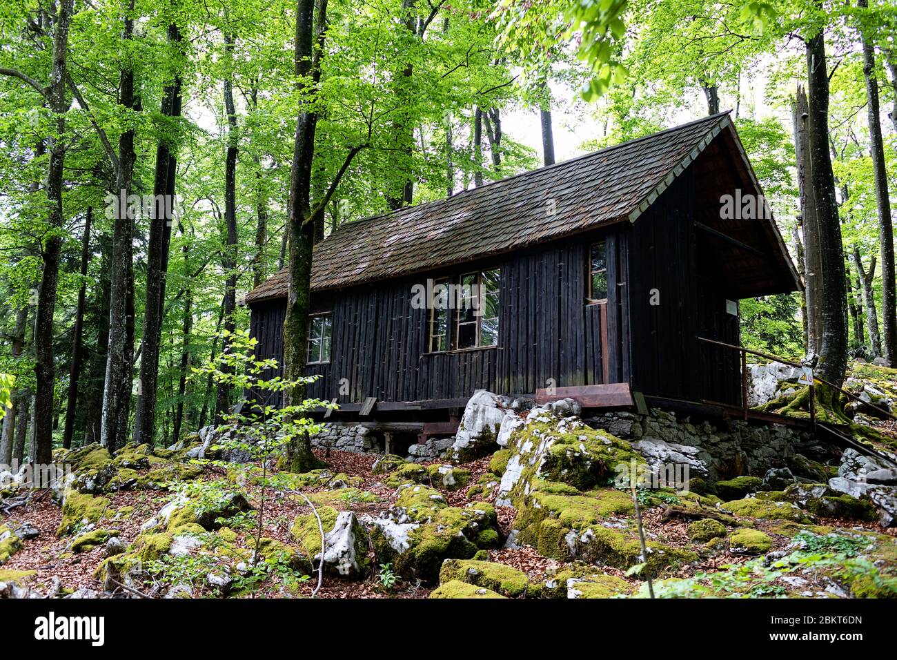 Partisanenbasis Lager 20, Baza 20, geheimes IIWW Hauptquartier der Widerstandsbewegung, Bela Krajina (White Kraniola) Region, Slowenien, Europa Kocevje Sloven Stockfoto