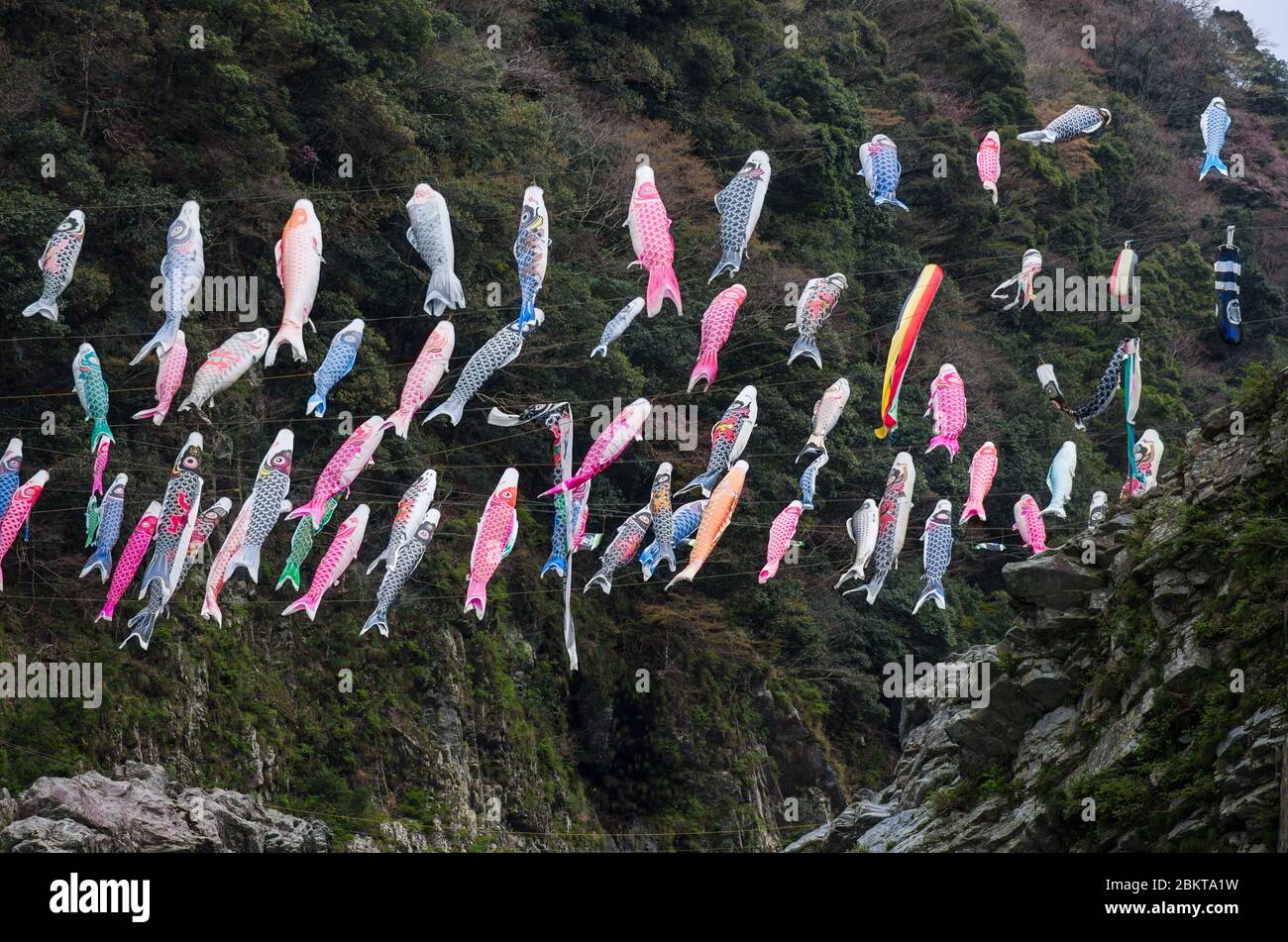 Koinobori Karpfen Streamersin der Wind über Oboke Gorge, wie aus dem Yoshino River während einer Vergnügungsfahrt in Tokushima, Japan Stockfoto