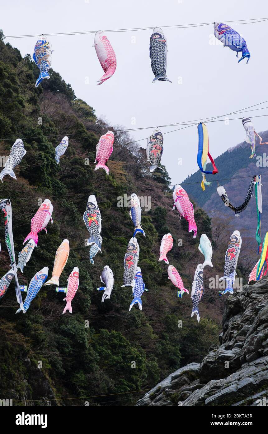 Koinobori Karpfen Streamersin der Wind über Oboke Gorge, wie aus dem Yoshino River während einer Vergnügungsfahrt in Tokushima, Japan Stockfoto