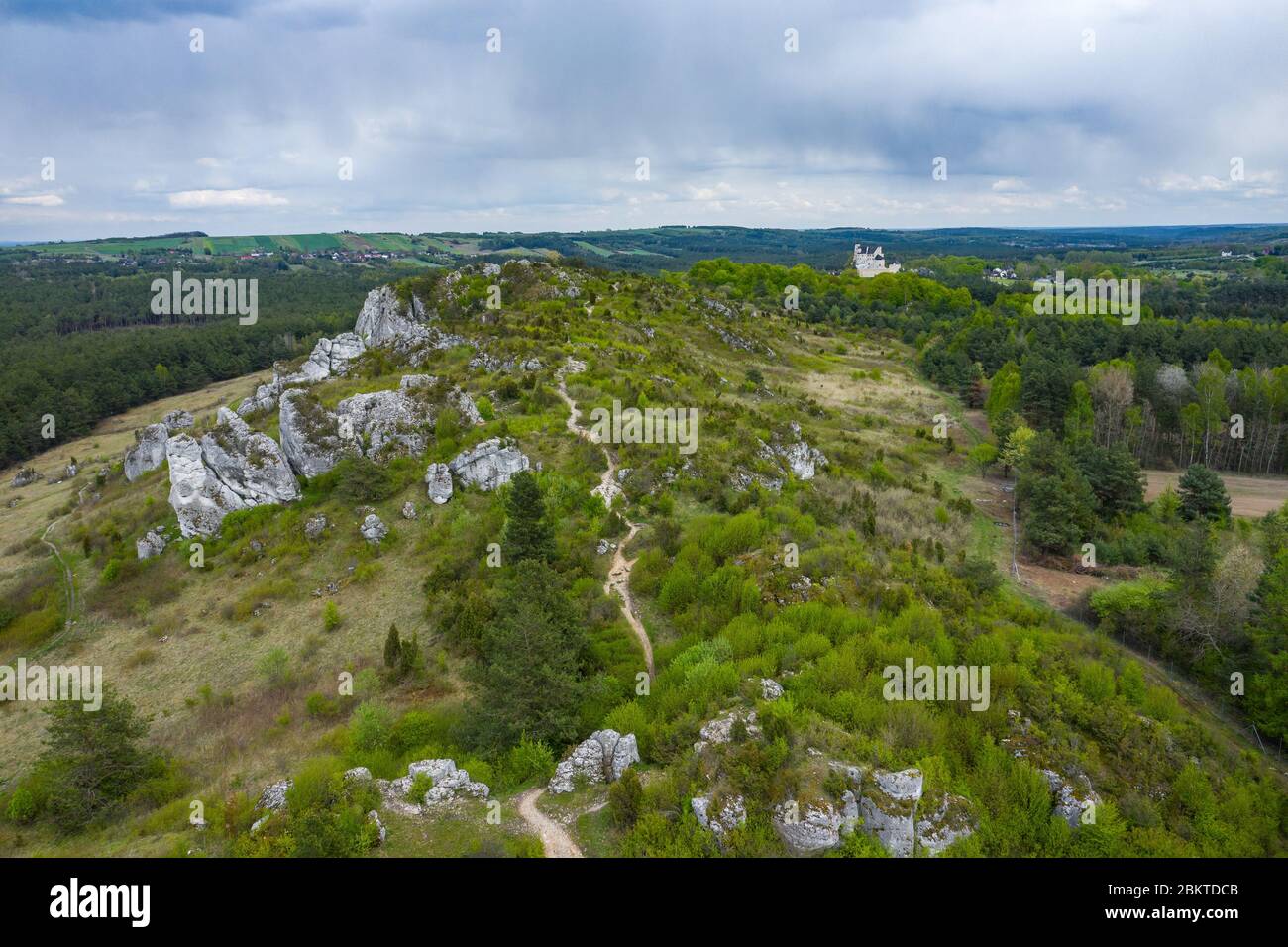 Luftaufnahme von Kalksteinfelsen in grün in der Nähe von Krakau in Polen. Aufnahmen von der Drohne, die die weiten grünen Hügellandgebiete des Krakauer zeigen Stockfoto