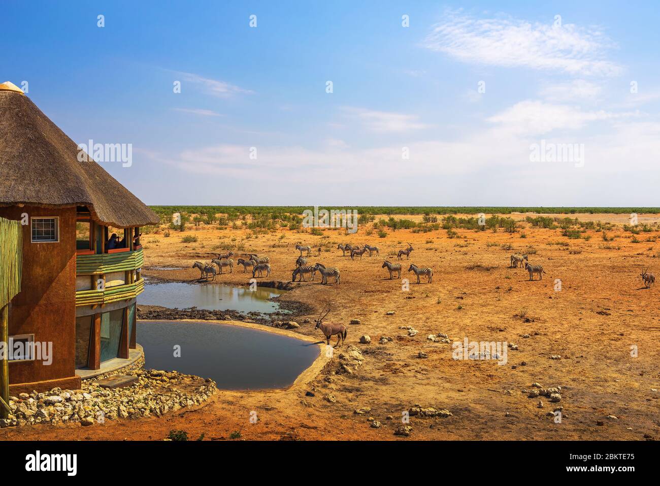 Touristen beobachten Wildtiere im Etosha National Park, Namibia Stockfoto