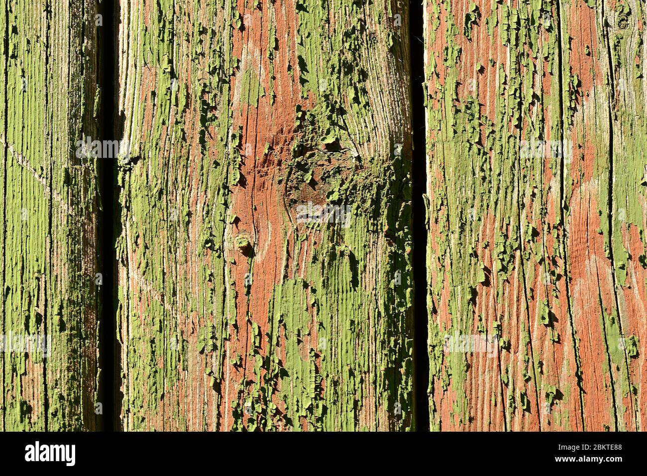 Natürliche Holzstruktur grün mit einer Reihe von Knoten und Ringleitungen. Stockfoto