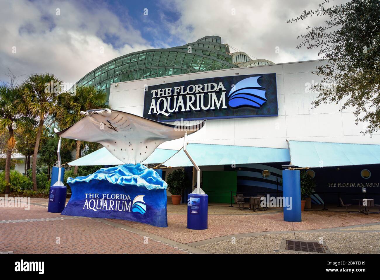 Larga Manta ray Skulptur am Eingang zum Florida Aquarium in Tampa Bay Stockfoto