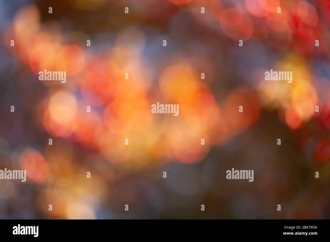 Verwackelt hellen Herbsthintergrund. Abstrakt farbenfroh Bokeh Stockfoto