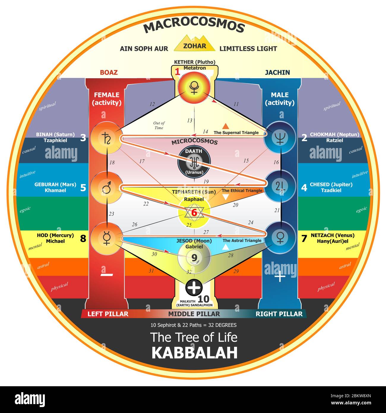 Baum des Lebens Kabbalah in VektorIllustration Schema Alamy