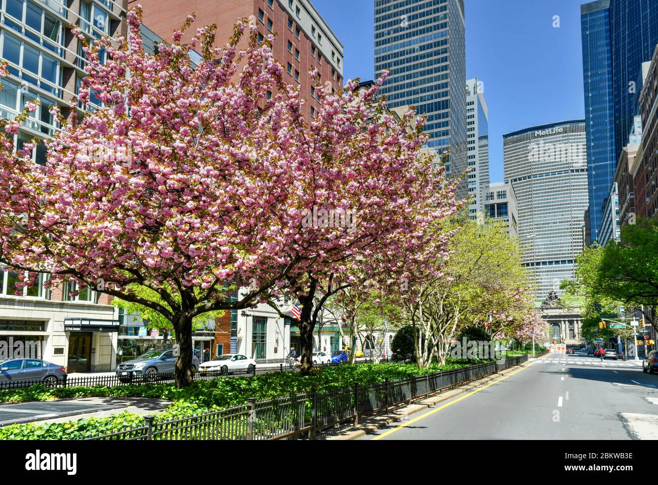 New York, NY - 19. April 2020: Grand Central Terminal und Park Avenue während der Frühjahrsblüte. Stockfoto
