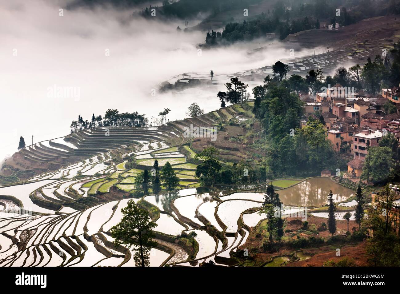 Reisterrassen auf Wolke umhüllten Berg mit einem ländlichen Dorf Stockfoto
