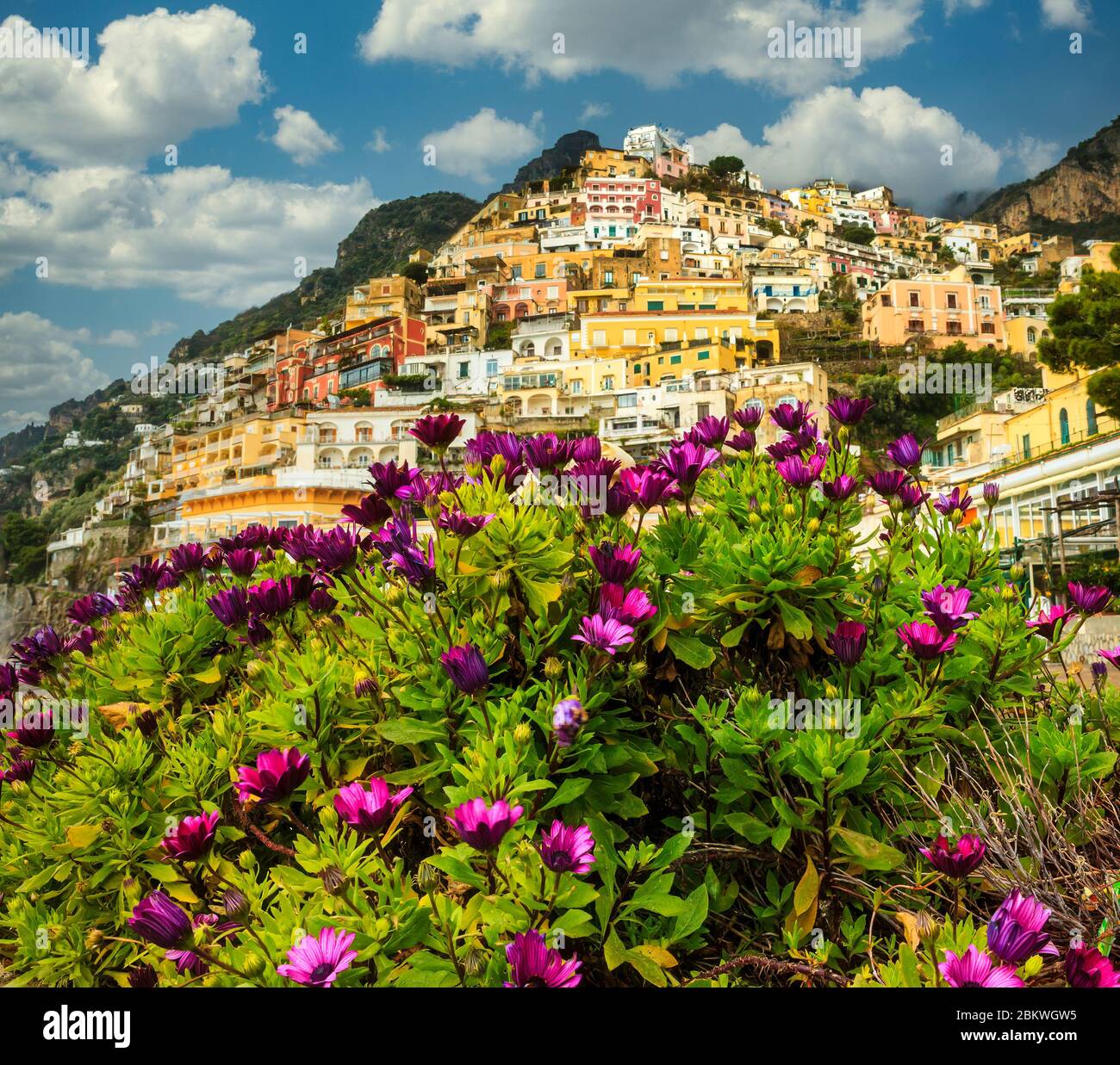 Die bunte Stadt Positano mit Blumen im Vordergrund Stockfoto