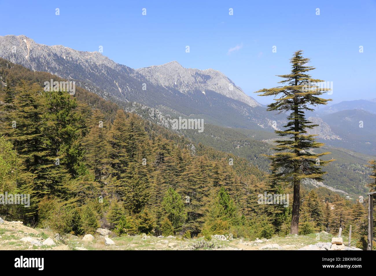 Berglandschaft auf dem berühmten Likya Yolu Touristenweg in der Türkei. Blick auf die Berge Stockfoto