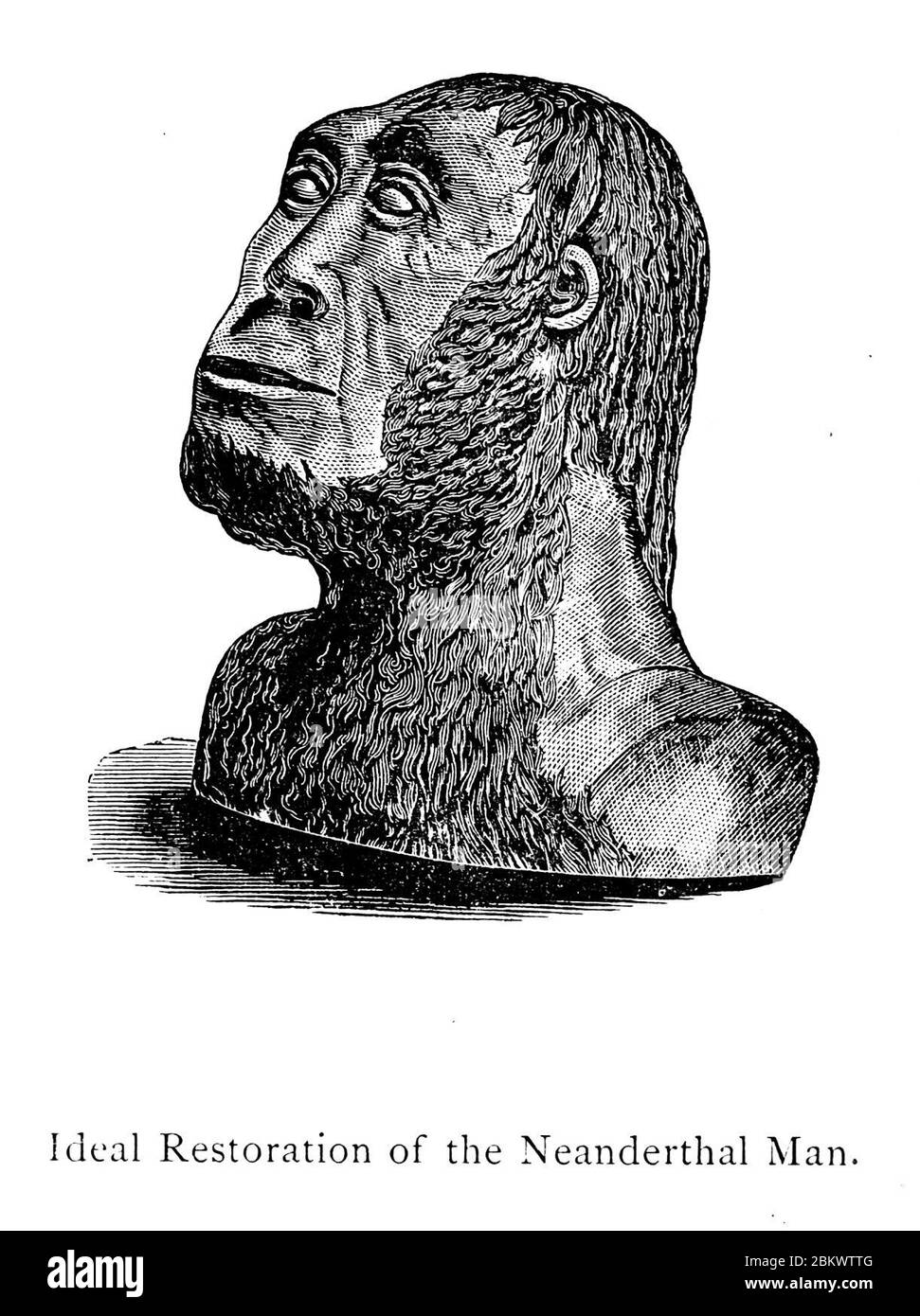 Ideale Restaurierung des Neandertalers - EIN Handbuch der Antike des Menschen, 1875. Stockfoto