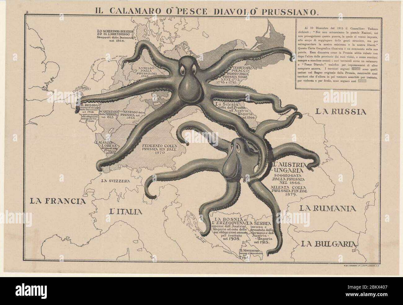 Il Calamaro o' ‥99Pesce Diavolo‥99 Prussiano. Stockfoto
