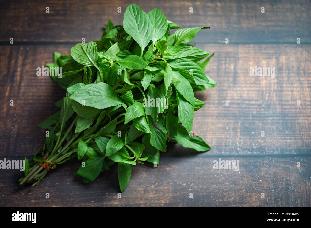 basilikumblatt auf Holzhintergrund / frische grüne Basilikumblätter zum Kochen von Gemüse und Kräutern in thai Stockfoto