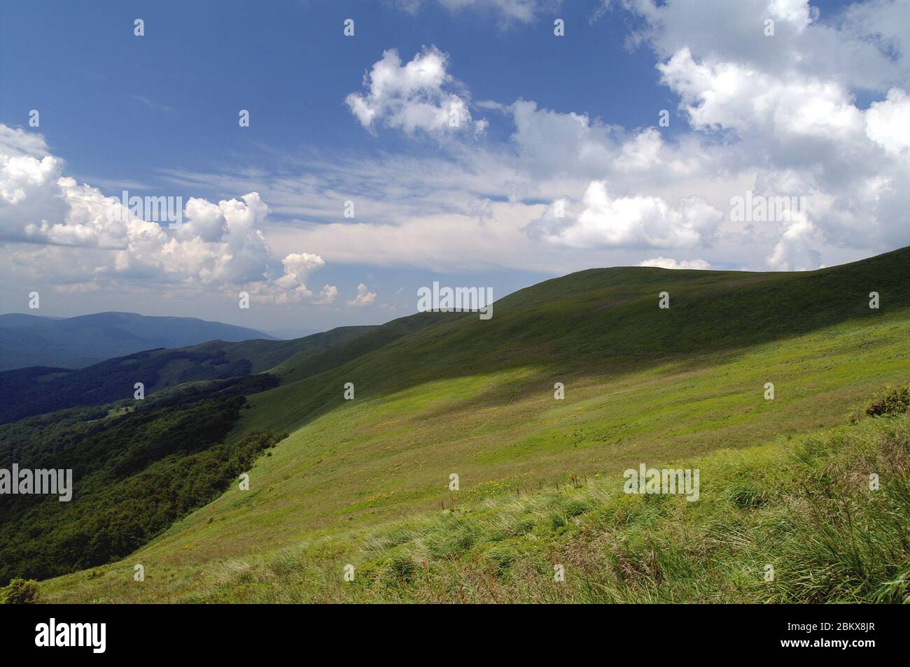 Tarnica, Bieszczady, Polen, ausgedehnte Landschaft auf grünen Hügeln mit Gras und blauem Himmel bedeckt. Polen, ausgestellte Landschaft auf Hügeln 廣闊的綠色山丘景觀。 Stockfoto