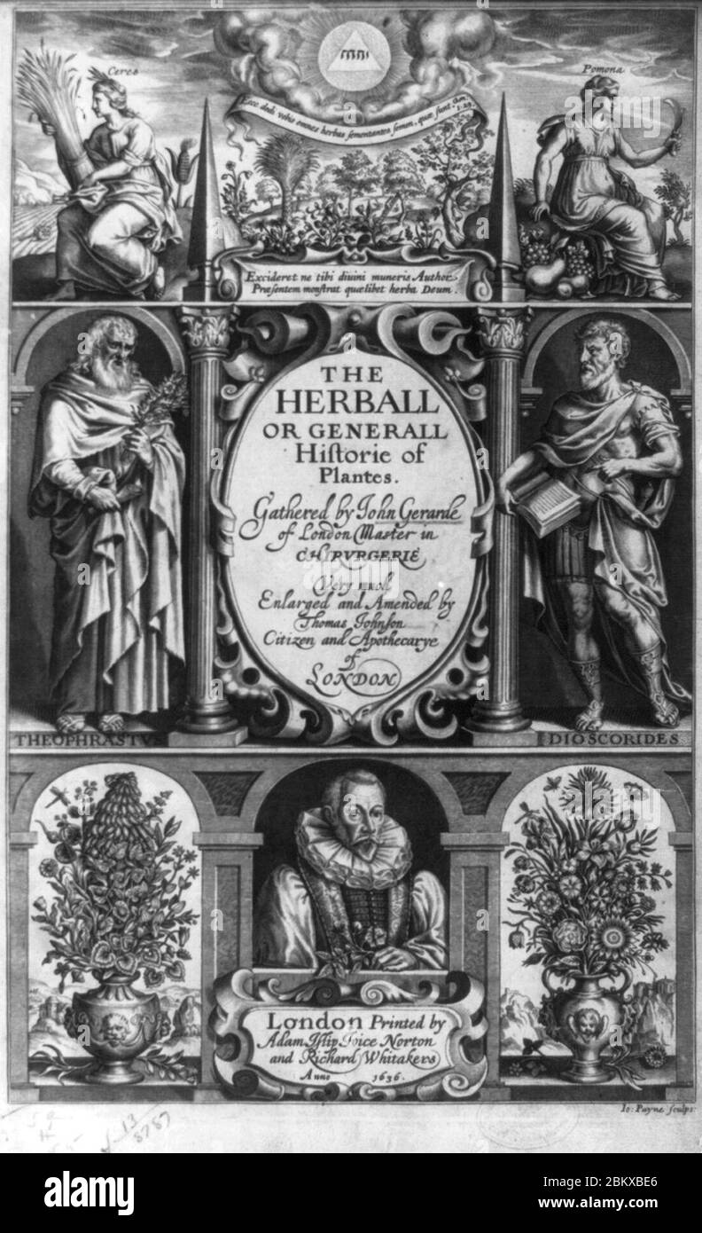 Bild. Titelseite der Herball oder Generall Historie of Plantes. Versammelt von John Gerarde, London, 1636 - zeigt eine Zusammenstellung von Szenen, darunter Figuren von Ceres und Pomona, in voller Länge Stockfoto