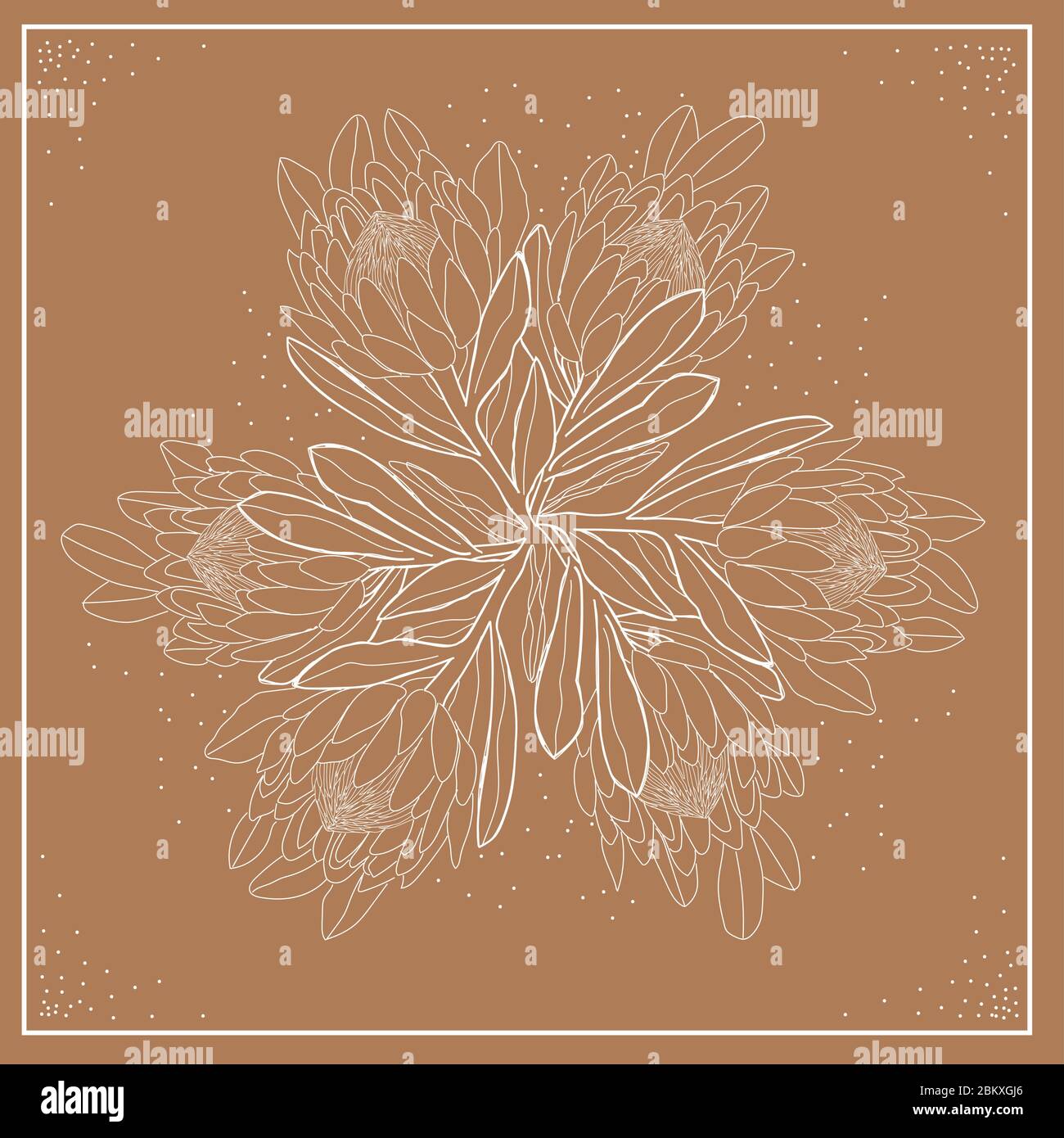 Boho Blumen und Laub - Square Design mit König Protea, Weiß mit Orange Hintergrund Stock Vektor