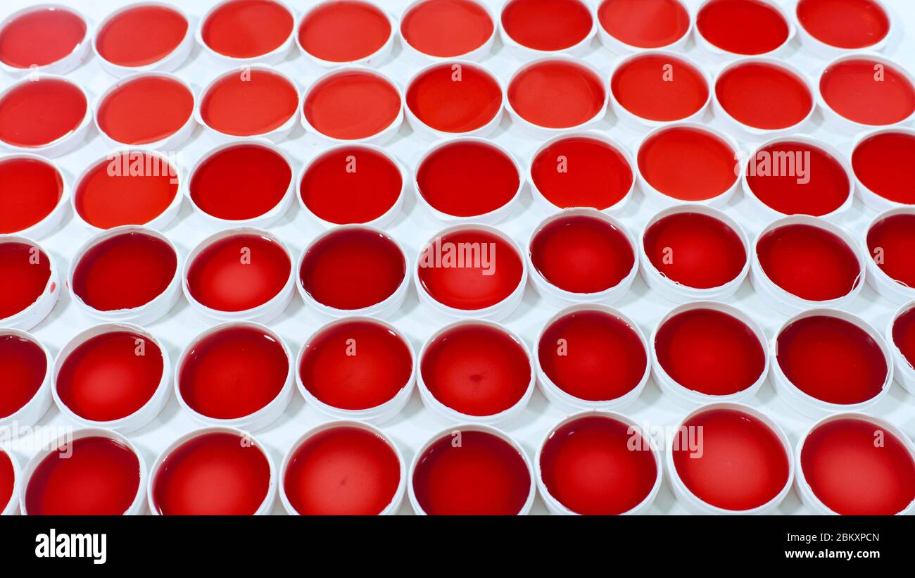 Nahaufnahme eines Sets von klinischen Proben roter Flüssigkeit in runden Kunststoffbehältern auf einer weißen Oberfläche Stockfoto