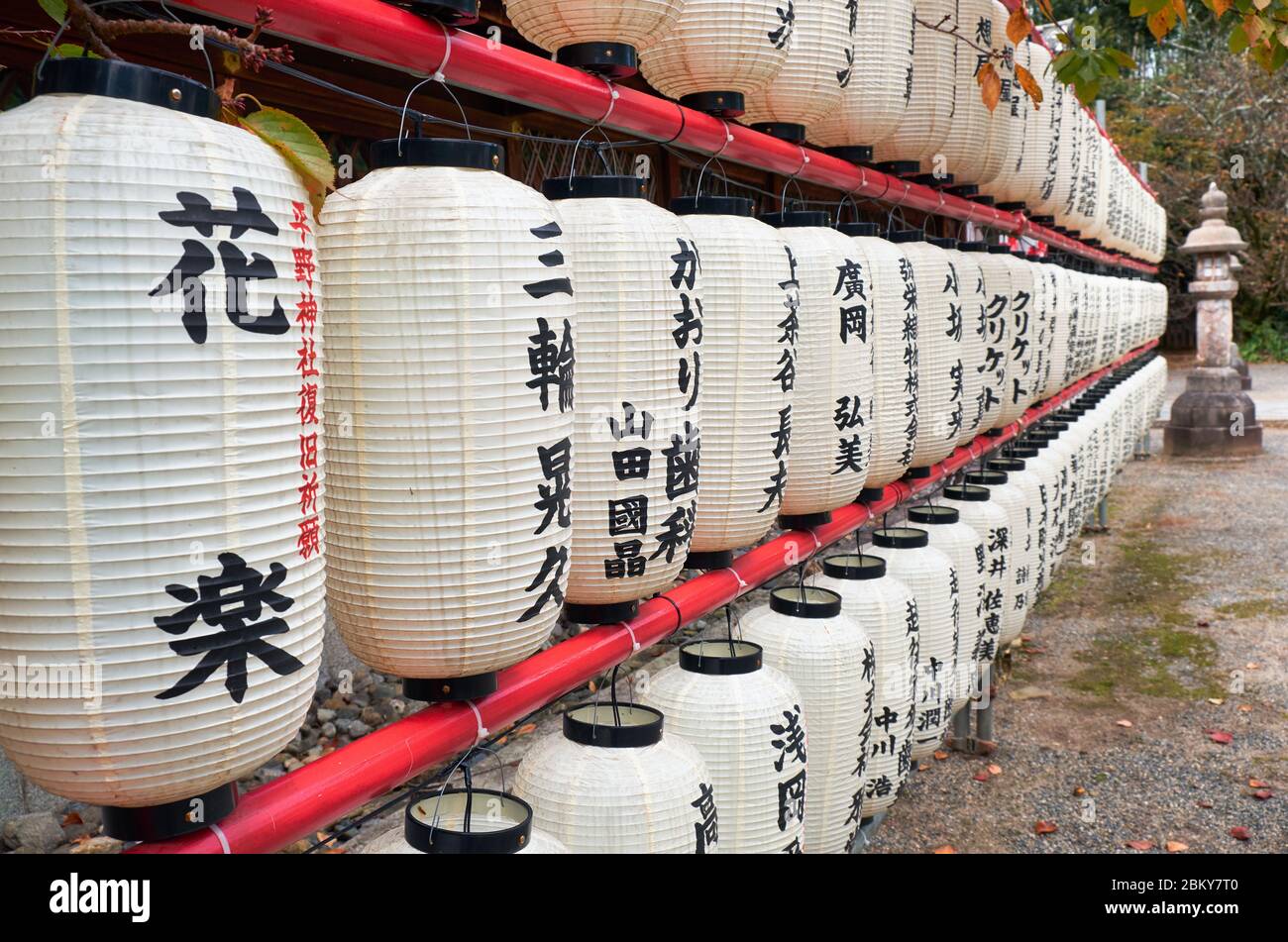 KYOTO, JAPAN - 17. OKTOBER 2019: Der Blick auf Hunderte traditionelle weiße Papierhellungen (Chochin) am Hirano-Schrein. Kyoto. Japan Stockfoto