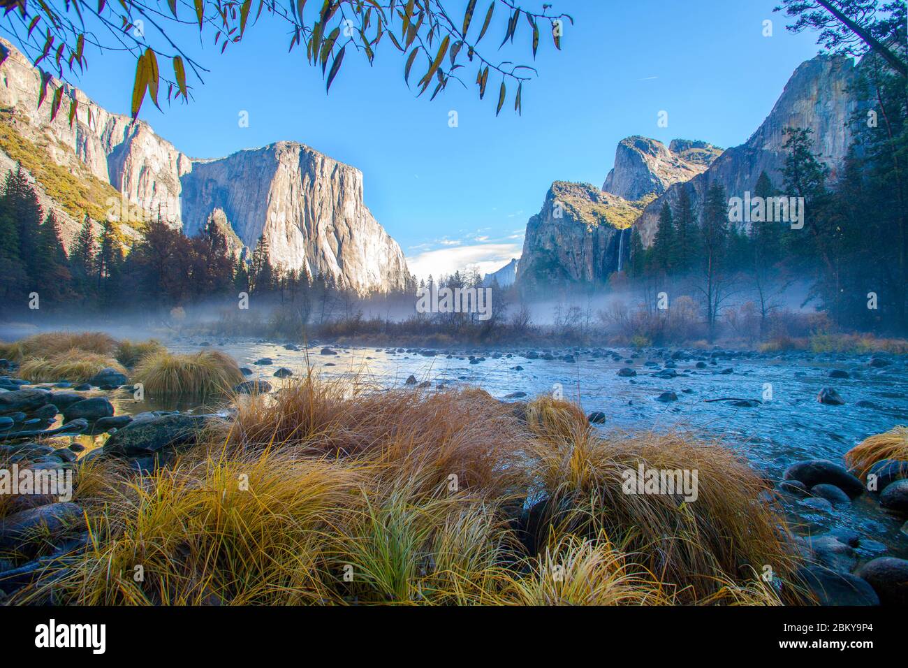 Herbstfarbe im Yosemite Nationalpark Stockfoto