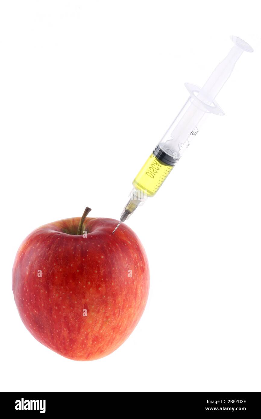 Injektion in einen Apfel. Eine Hand in einem medizinischen Handschuh mit einer Spritze auf weißem Hintergrund. Genetisch veränderte Lebensmittel. Injektion von GVO. Stockfoto