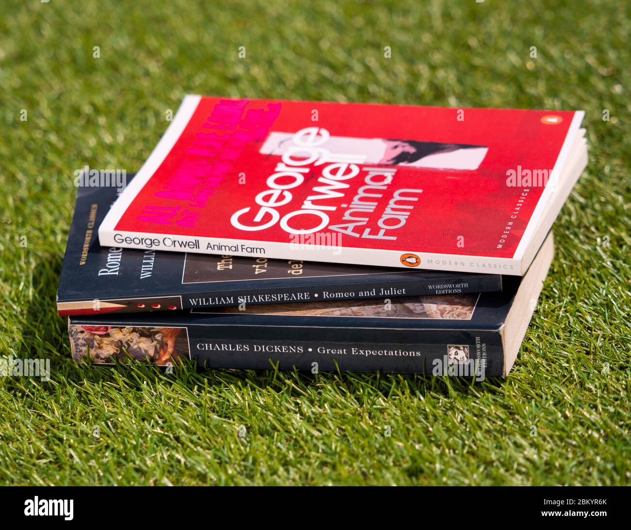 Auswahl an beliebten Büchern berühmter Autoren, George Orwell, William Shakespeare und Charles Dickens auf Rasen im Sommer Stockfoto