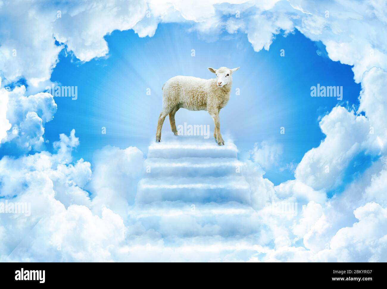 Fest der Sacrif. Schafe auf Wolke Treppe. Eid al-Adha Mubarak. Fest des Opfers Gruß. Türkisch: Kurban Bayraminiz Kutlu Olsun Stockfoto