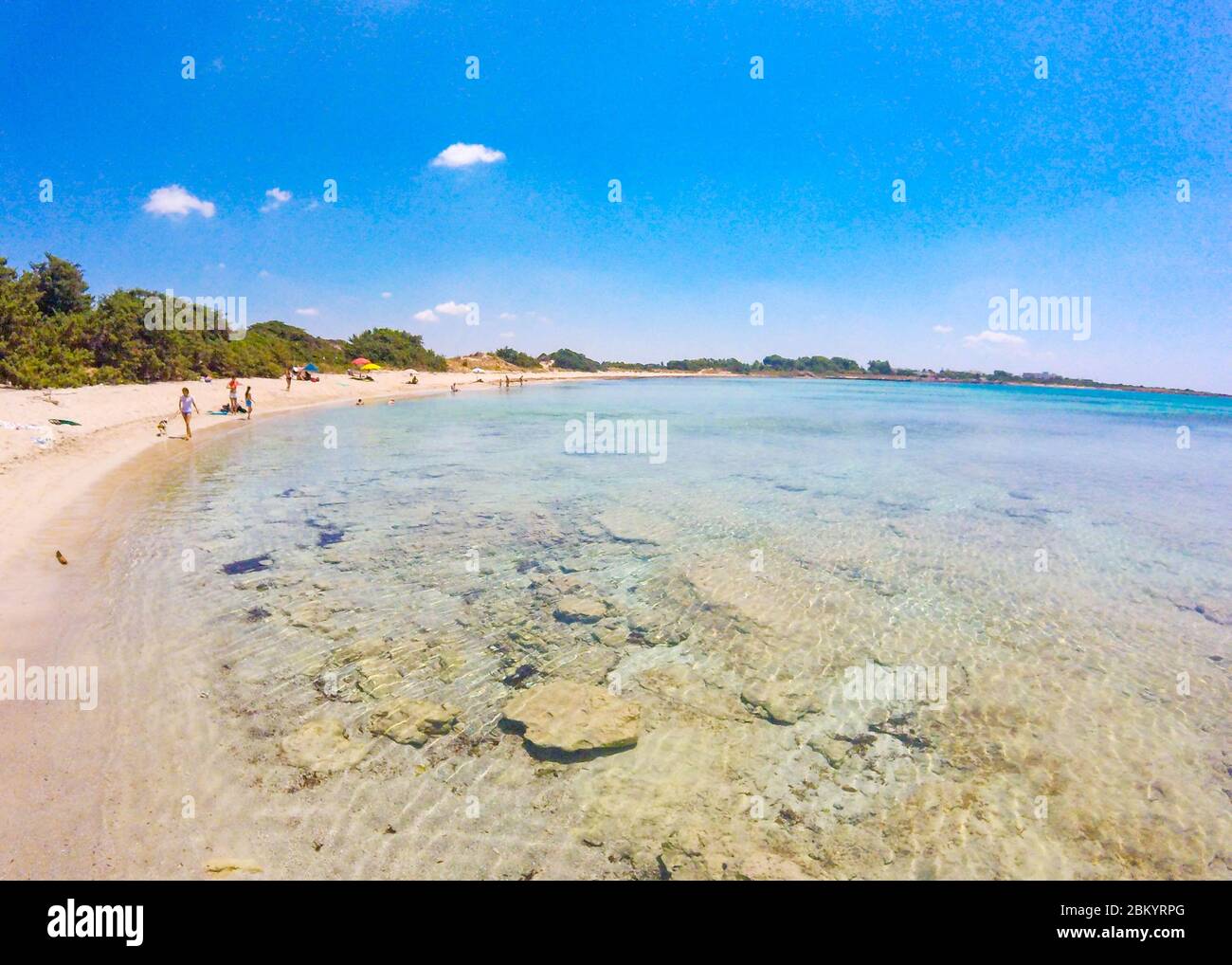 Wunderschöner Sandstrand mit transparentem kristallklarem Wasser im Sommer in Salento, Apulien, Italien Stockfoto