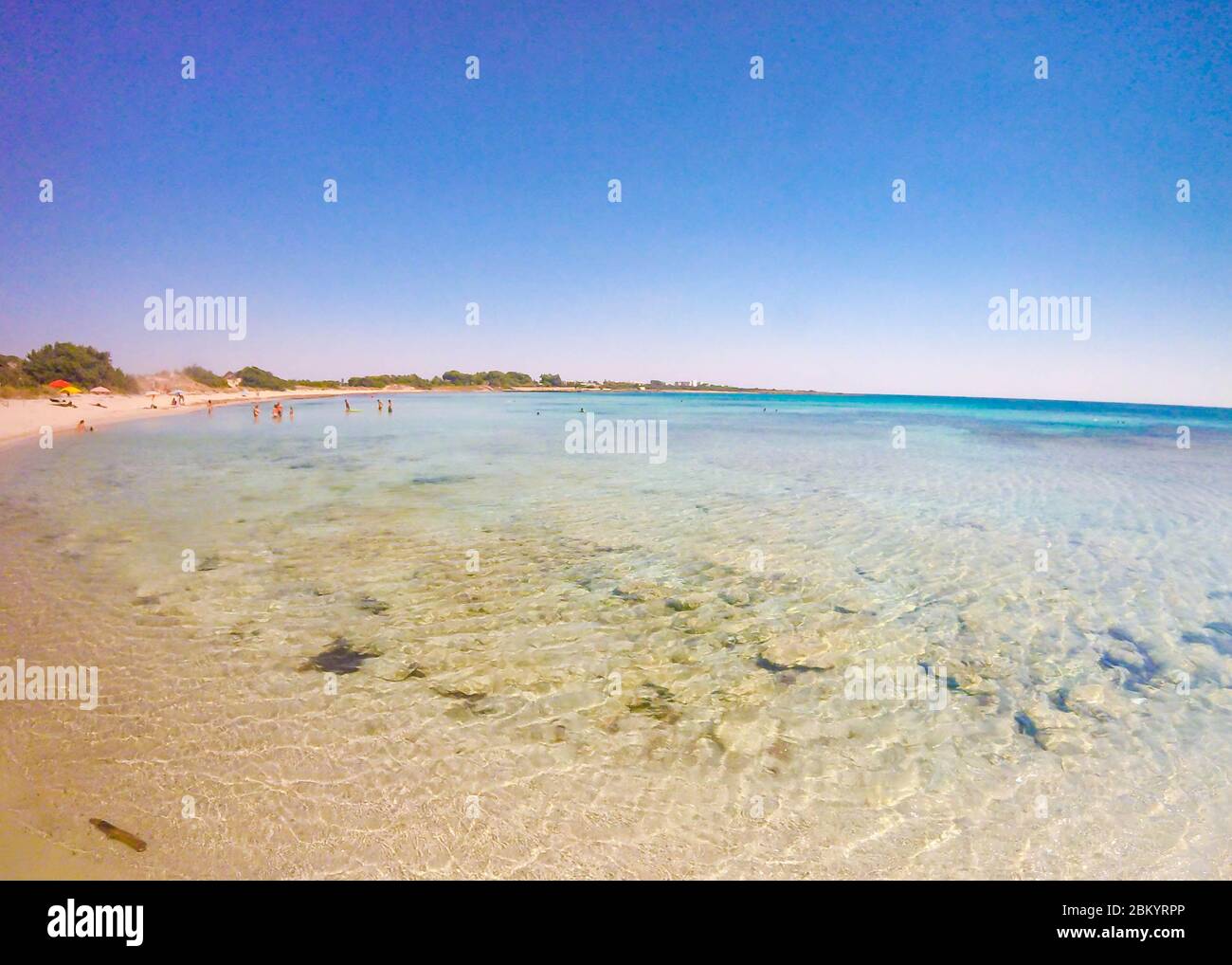 Wunderschöner Sandstrand mit transparentem kristallklarem Wasser im Sommer in Salento, Apulien, Italien Stockfoto