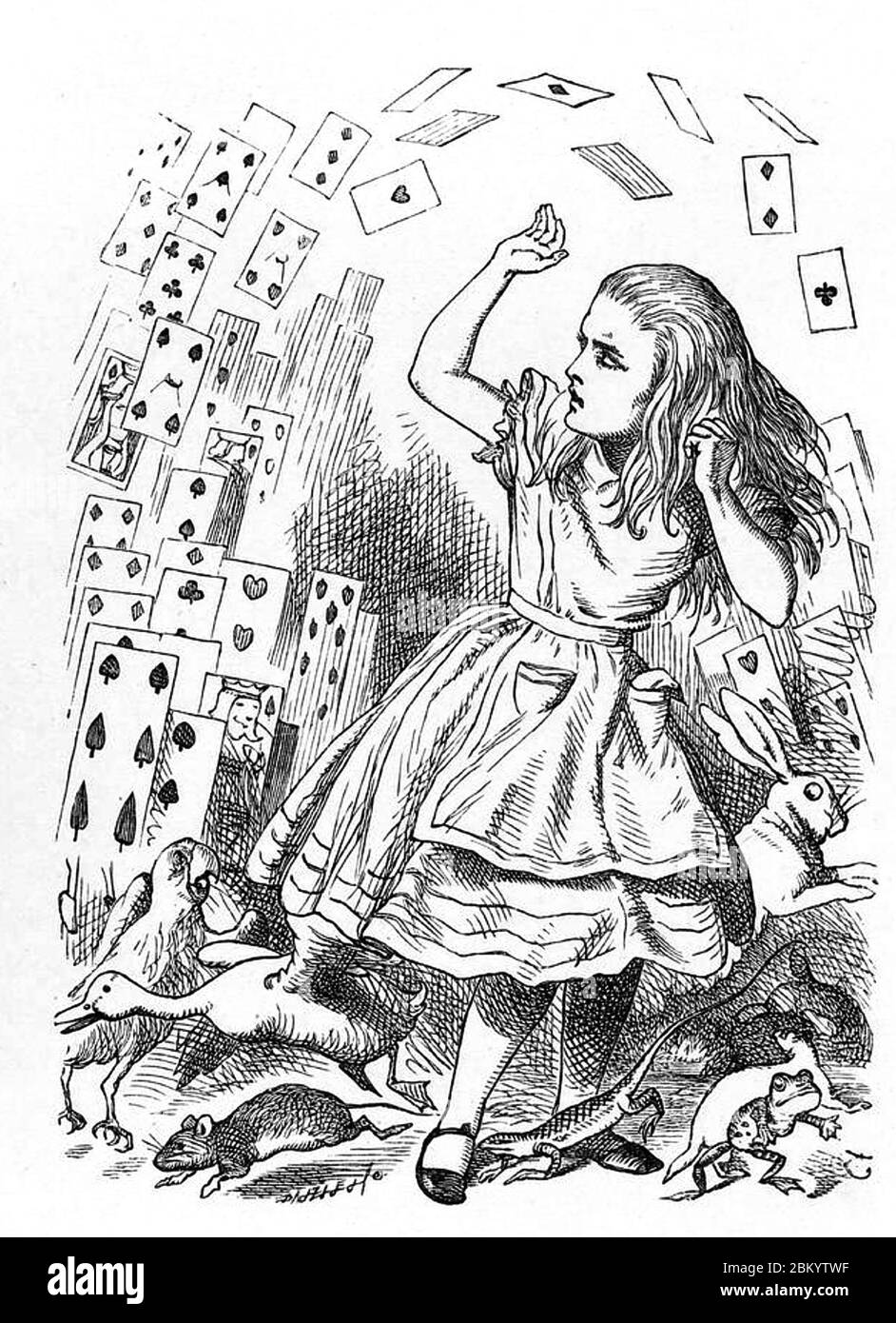 ALICE IM WUNDERLAND von Lewis Carroll, 1865. Illustration von John Tenniel als Alice erklärt: "Du bist nichts als ein Kartenspiel!" Stockfoto