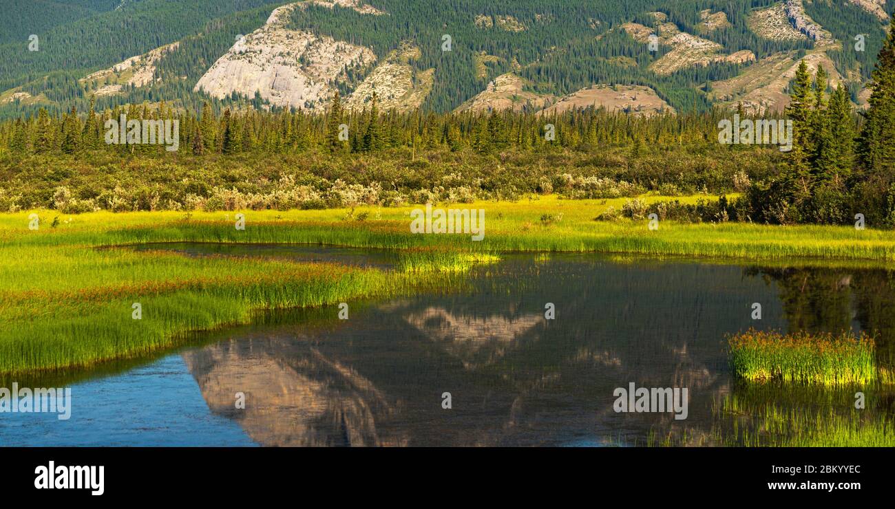 Naturlandschaften entlang des Trans-canada hwy von Calgary nach Banff, Alberta, Kanada Stockfoto