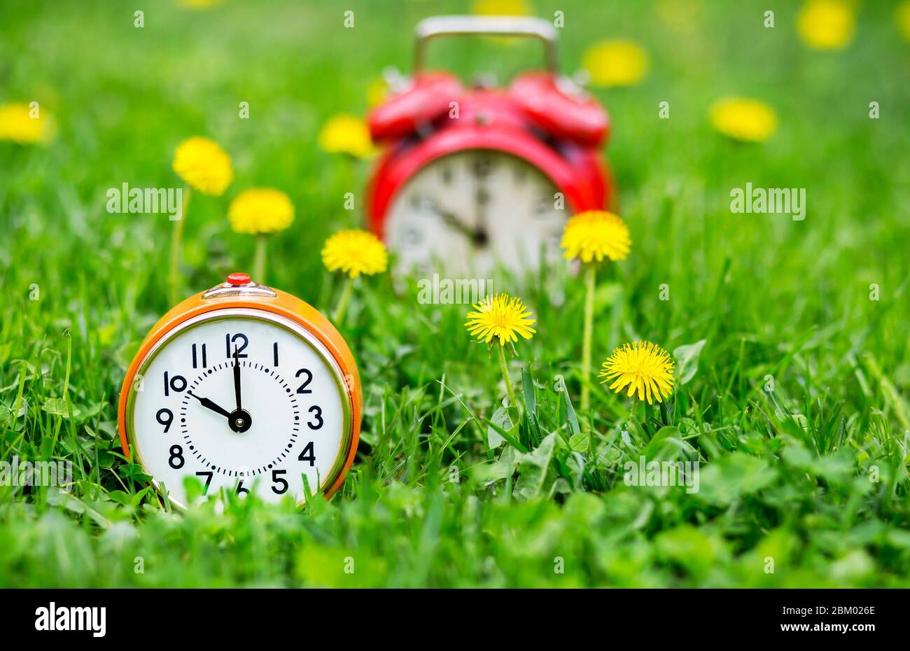 Summertime Concept - Wecker und gelbe Löwenzahn-Blüten im Gras Stockfoto