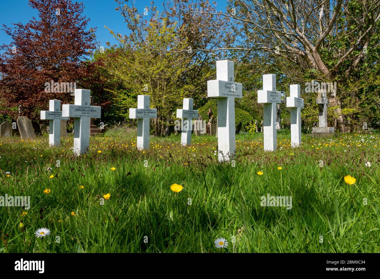 Sieben weiße Kreuze bilden einen Teil eines Denkmals für die Aldeburgh Life Boat Crew von 1899. Mit hellgrünem Gras, Butterblumen, Bäumen und einem strahlend blauen Himmel Stockfoto