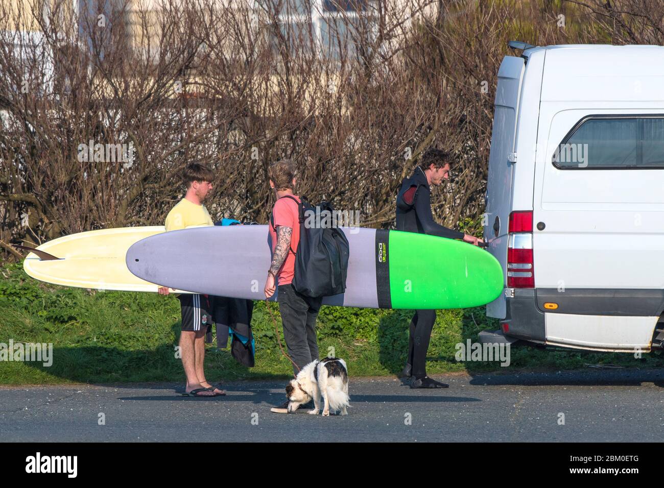 Surfer, die Surfbretter aus einem Van ausladen, um sich auf eine Surfstunde in Newquay in Cornwall vorzubereiten. Stockfoto