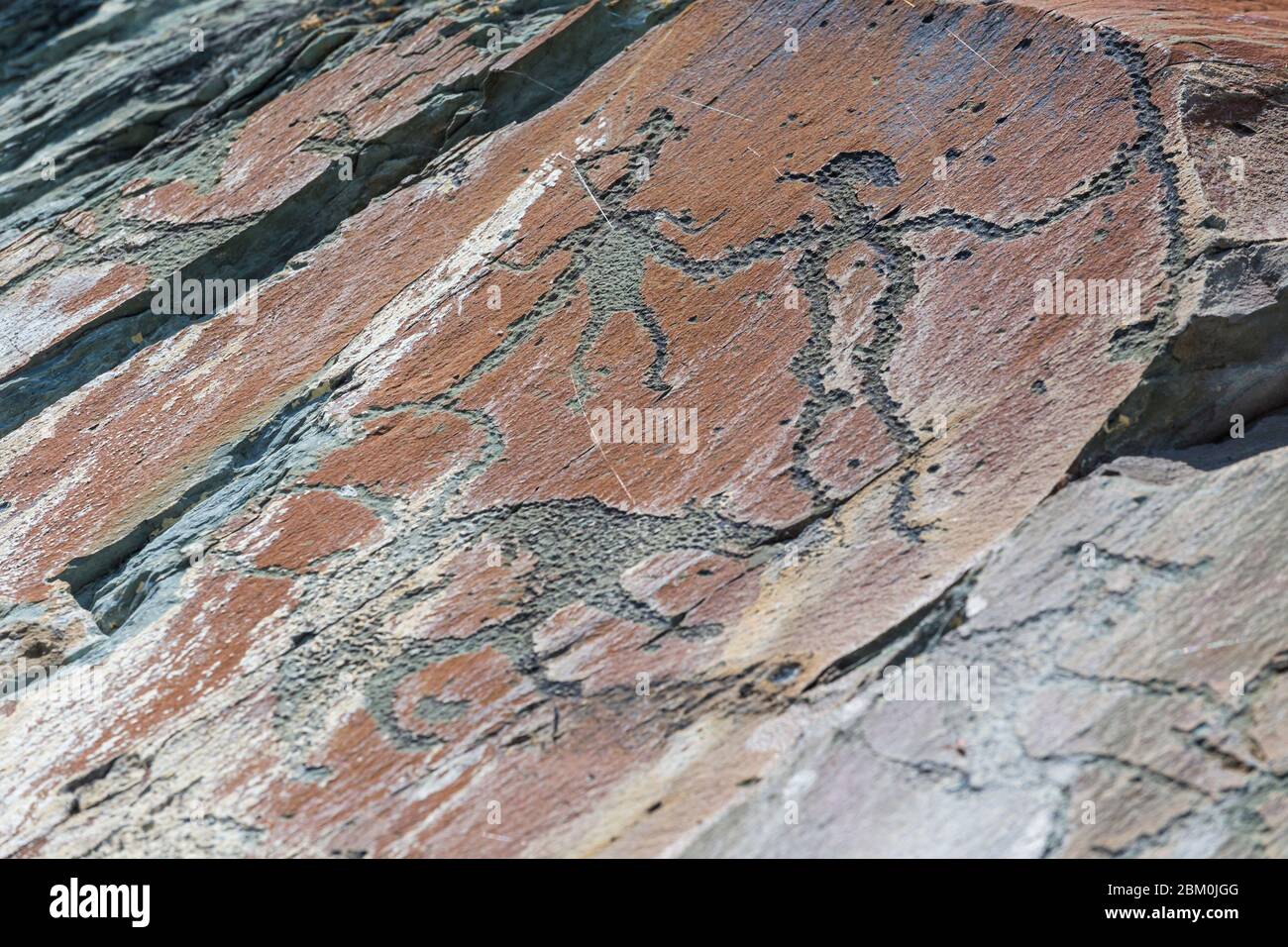 Petrogliph, Tomskaya pisanitsa Freilichtmuseum, Tom River, Kemerowo Region, Russland Stockfoto