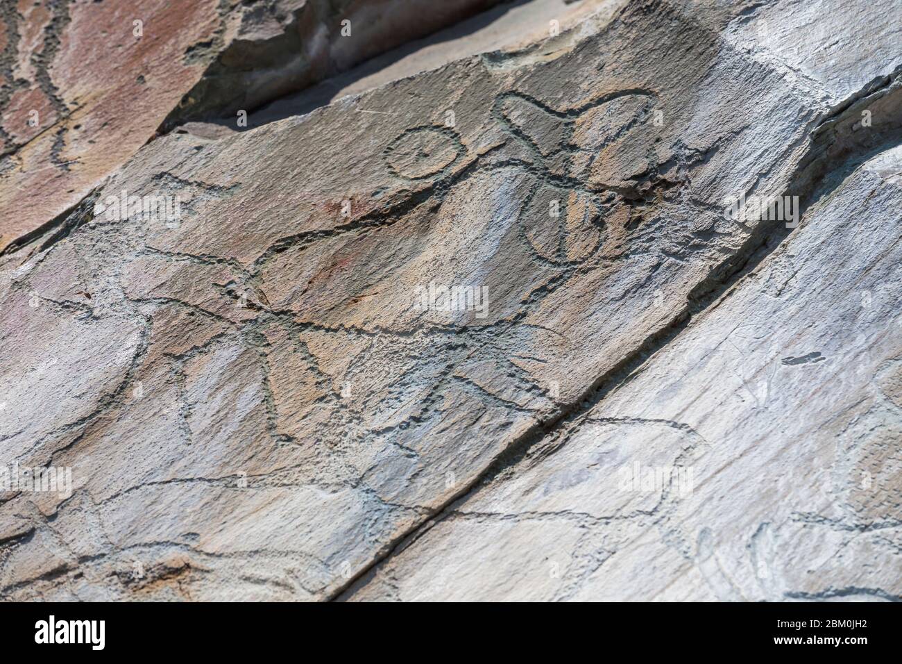 Petrogliph, Tomskaya pisanitsa Freilichtmuseum, Tom River, Kemerowo Region, Russland Stockfoto