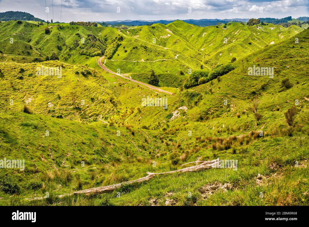 Blick vom Tahora Sattel, alte Eisenbahnschienen, Forgotten World Highway (SH43), Manawatu-Wanganui Region, Nordinsel, Neuseeland Stockfoto