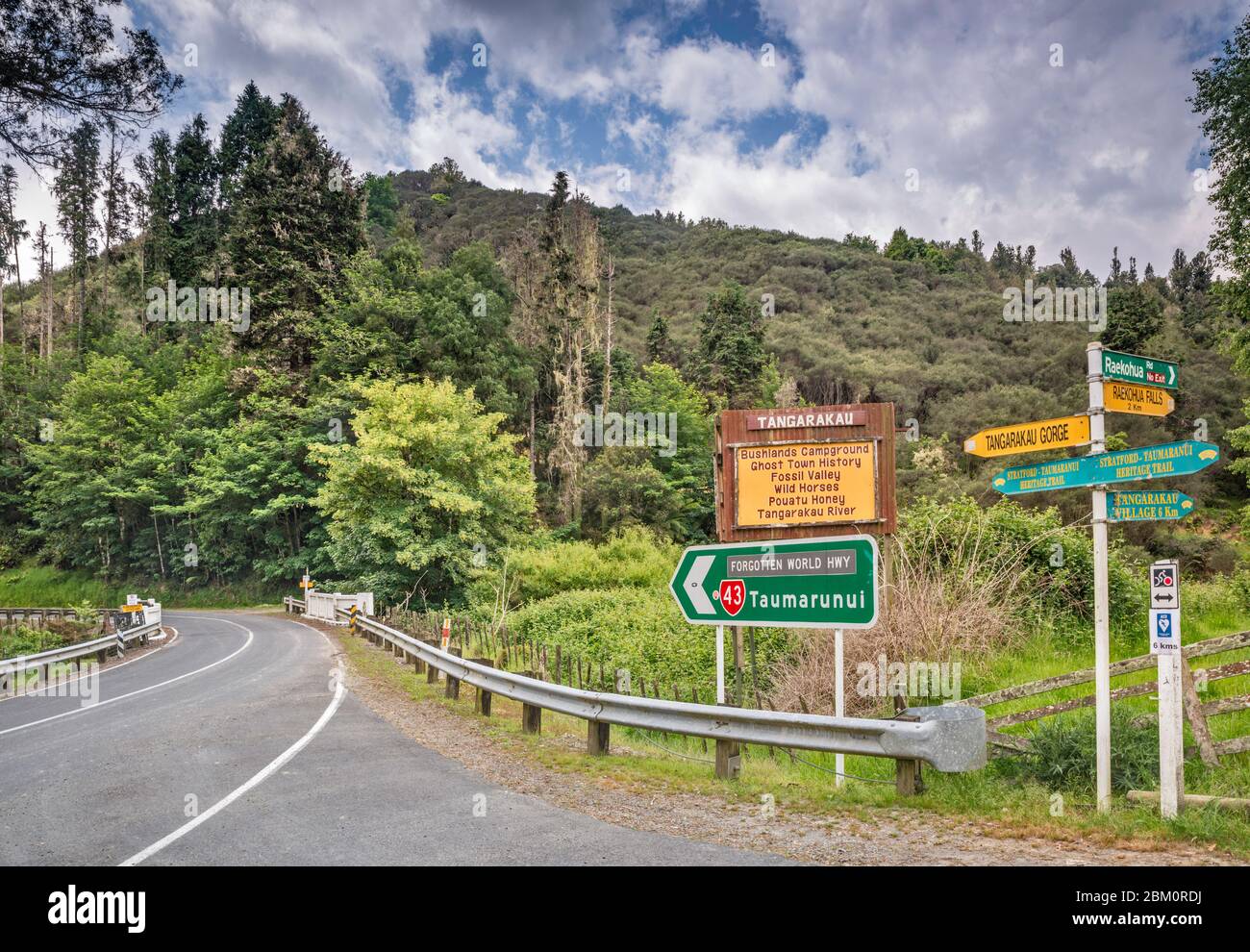 Forgotten World Highway (SH43), in der Nähe der Raekohua Wasserfälle, Manawatu-Wanganui Region, Nordinsel, Neuseeland Stockfoto