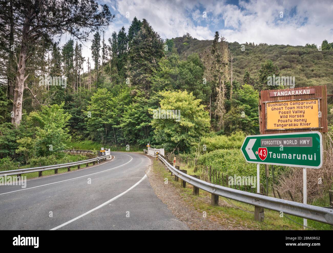 Forgotten World Highway (SH43), in der Nähe der Raekohua Wasserfälle, Manawatu-Wanganui Region, Nordinsel, Neuseeland Stockfoto