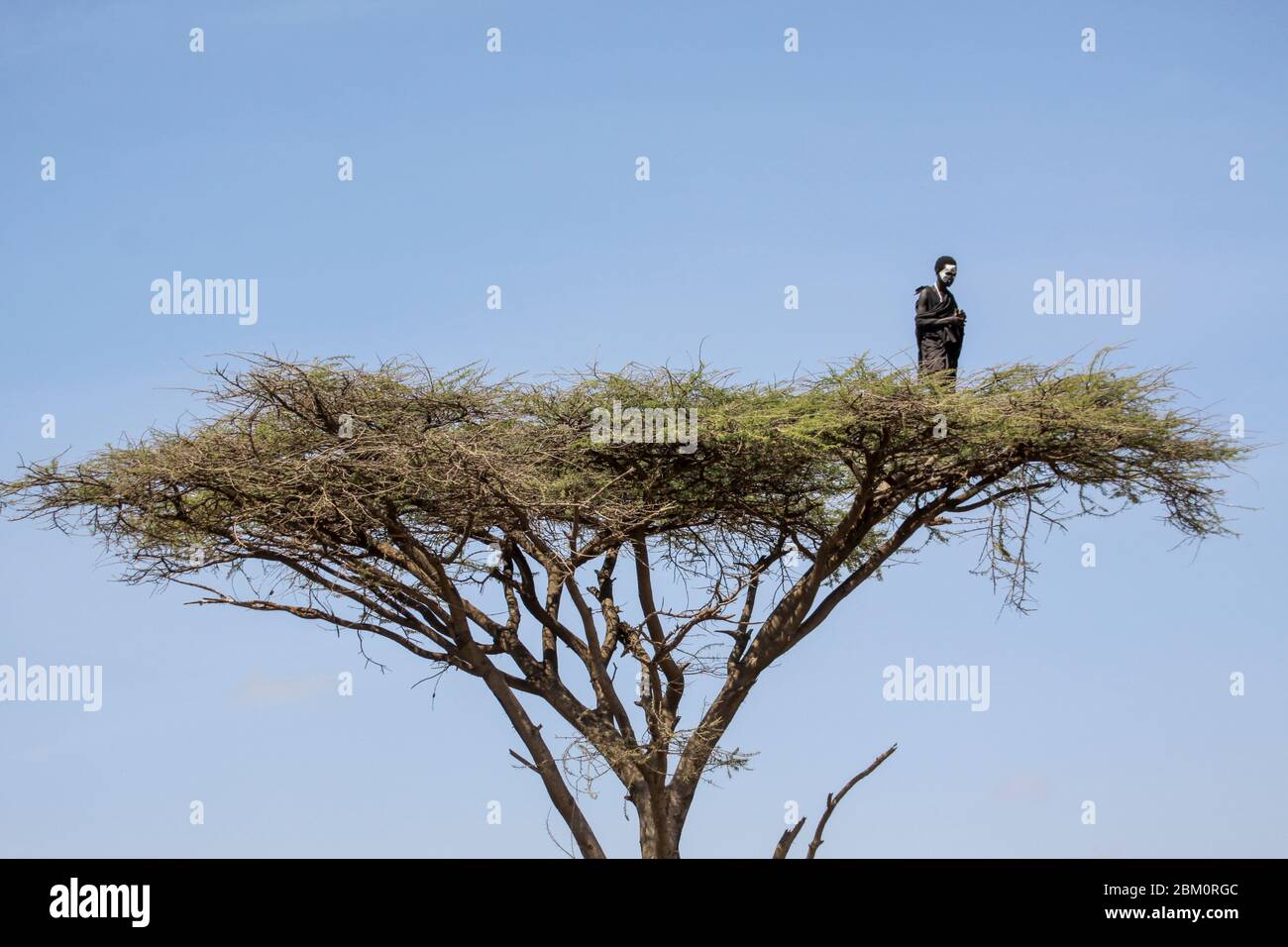 Ein Teenager Maasai mit bemaltem Gesicht nach der "emorata" Zeremonie, die die Beschneidung und das Recht der Passage ist, Mitglied des Kriegers zu werden oder ' Stockfoto