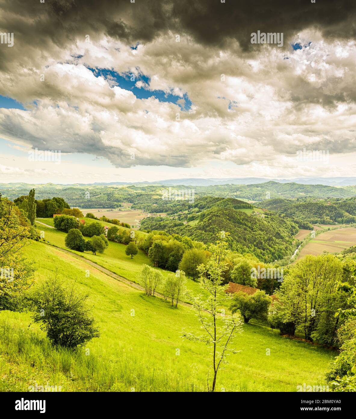 Österreich Weingärten Landschaft. Leibnitz Bereich in der Südsteiermark, Weinland Stockfoto