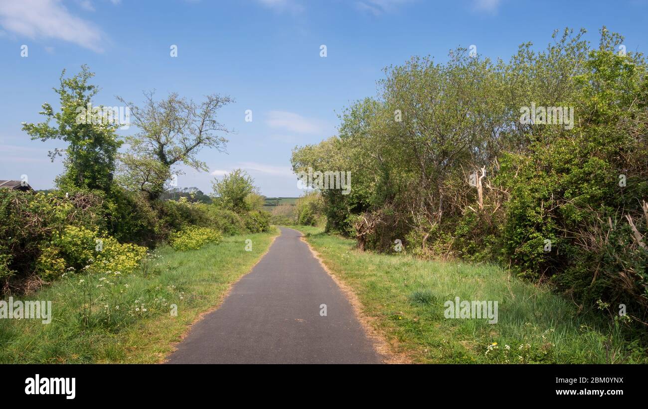 Typisch englischer Landweg, Fußweg im Frühjahr. Keine Leute. Stockfoto