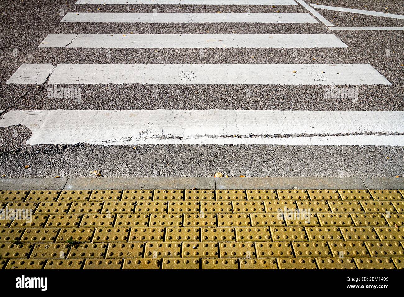 Strukturierter Gehweg für blinde Menschen. Gelbes taktiles Pflaster für Sehbehinderte auf dem Bürgersteig und Fußgängerüberweg Stockfoto