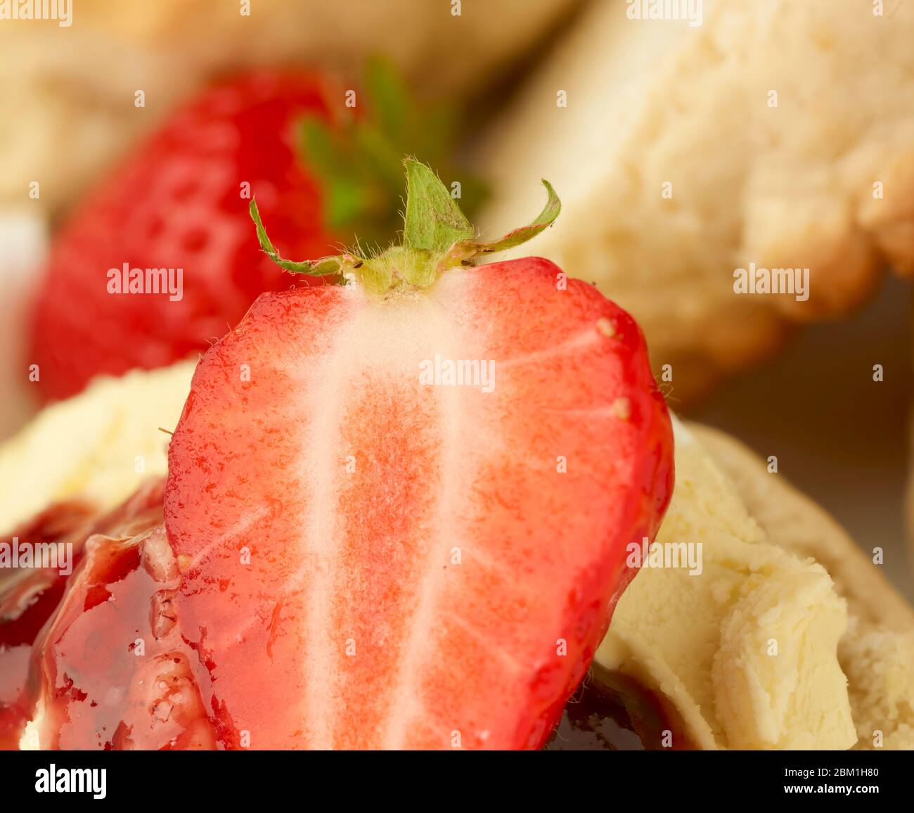 Britischer Sahnetee, Scones mit gerinnter Sahne, Erdbeermarmelade und Erdbeeren auf weißem Hintergrund, Food Stillleben Stockfoto