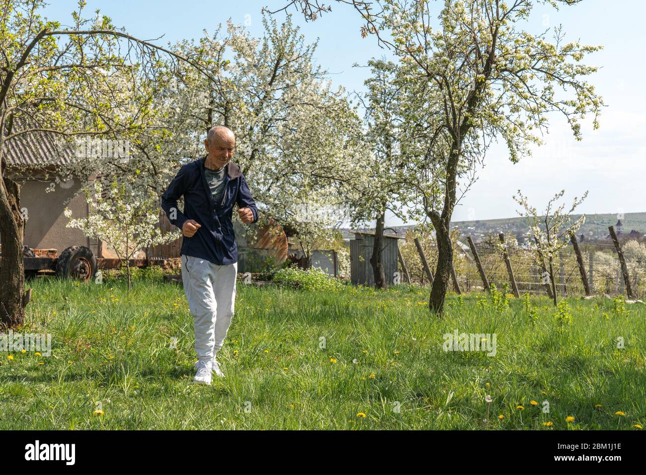 Aktiver alter Mann in Sportbekleidung joggen im Hinterhof zu Hause unter blühenden Bäumen Stockfoto