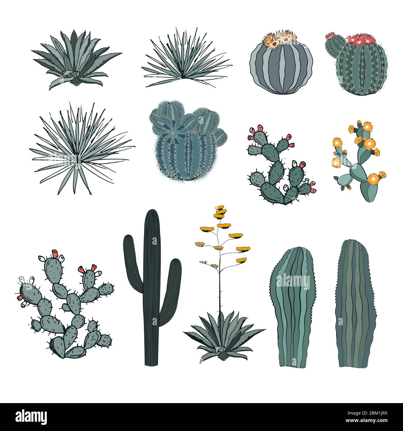 Set saguaro Kaktus, blühende Kakteen, Kakteen, Kaktusbirne, Agaven und Yucca. Vektorsammlung auf weißem Hintergrund isoliert. Stock Vektor