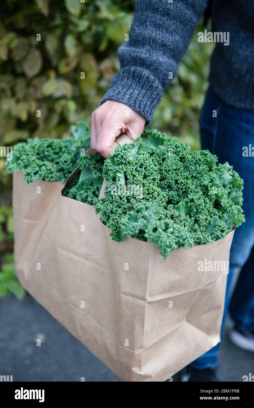 Frau mit einem Papiertütchen voller frischem Grünkohl. Stockfoto