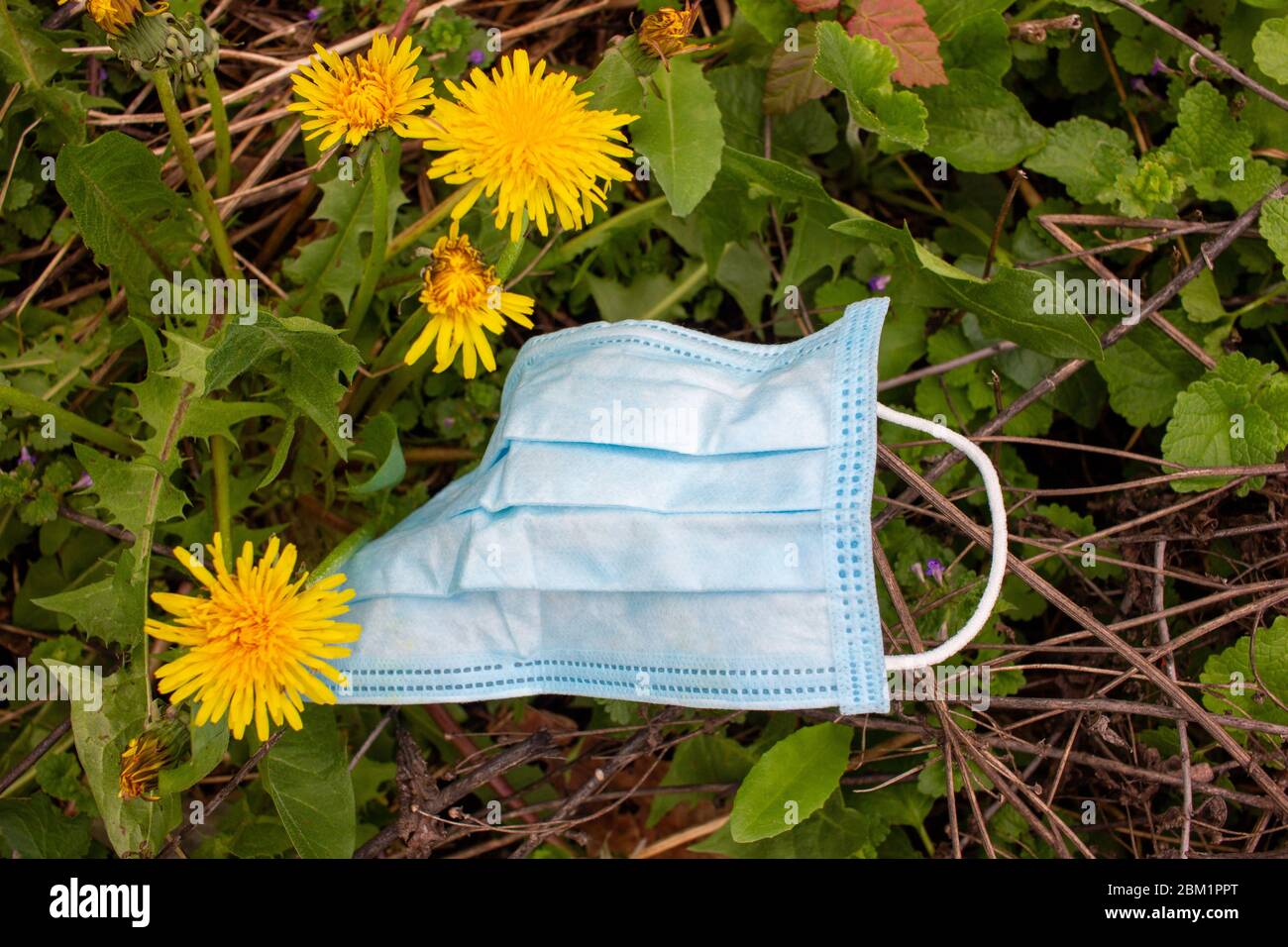 Gebrauchte chirurgische Maske auf den Boden während der Covid-19 Pandemie geworfen. Weggeworfene Gesichtsmaske, die verwendet wird, um die Verbreitung des Coronavirus zu schützen, das um die Pose herum liegt Stockfoto