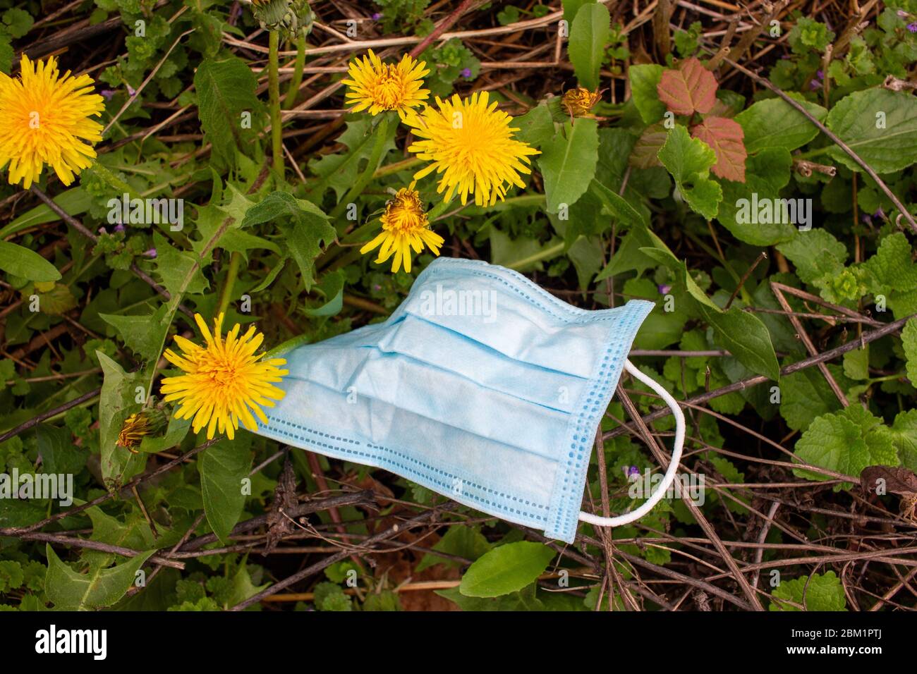 Gebrauchte chirurgische Maske auf den Boden während der Covid-19 Pandemie geworfen. Weggeworfene Gesichtsmaske, die verwendet wird, um die Verbreitung des Coronavirus zu schützen, das um die Pose herum liegt Stockfoto