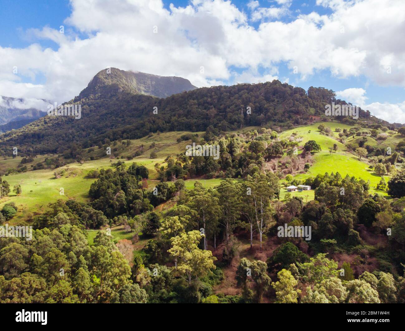 Landschaft um Numinbah in Australien Stockfoto