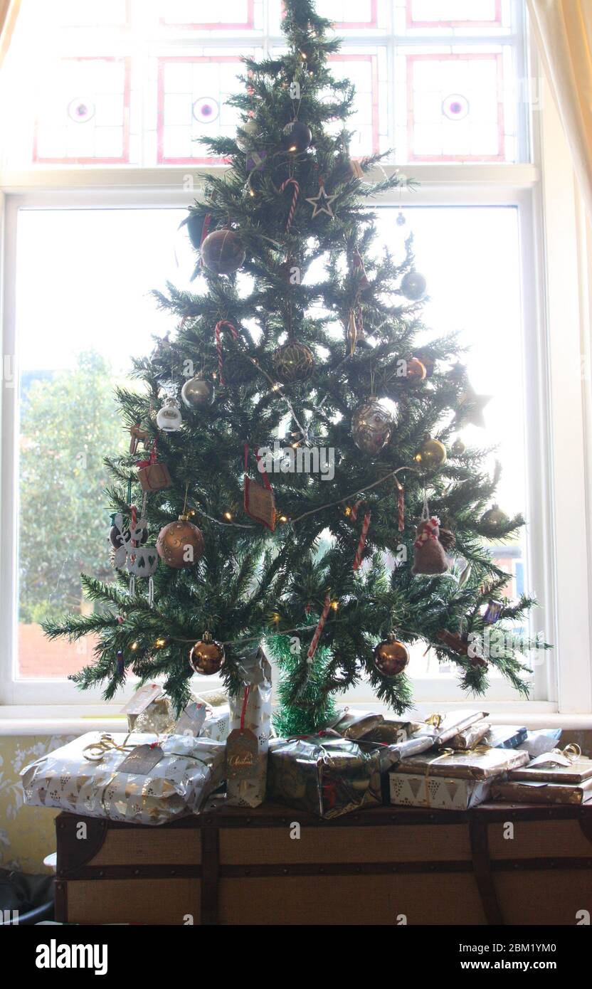 Weihnachtsdankgiving Weihnachtsbaum Stockfoto